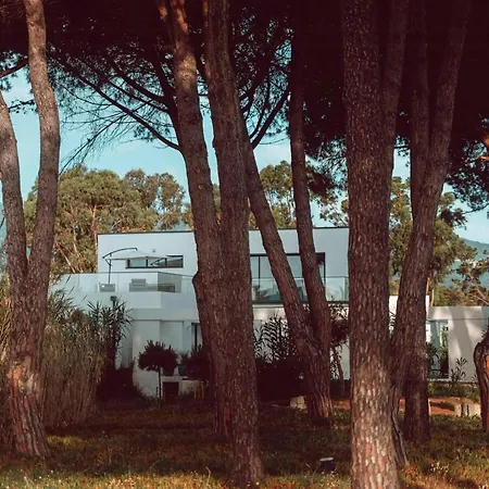 Elegant Architect-designed In Upper Corsica