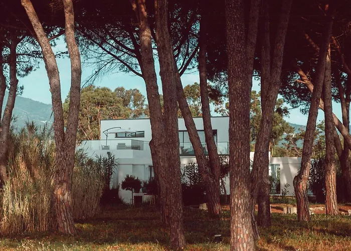 Elegant Architect-designed In Upper Corsica * Taglio-Isolaccio